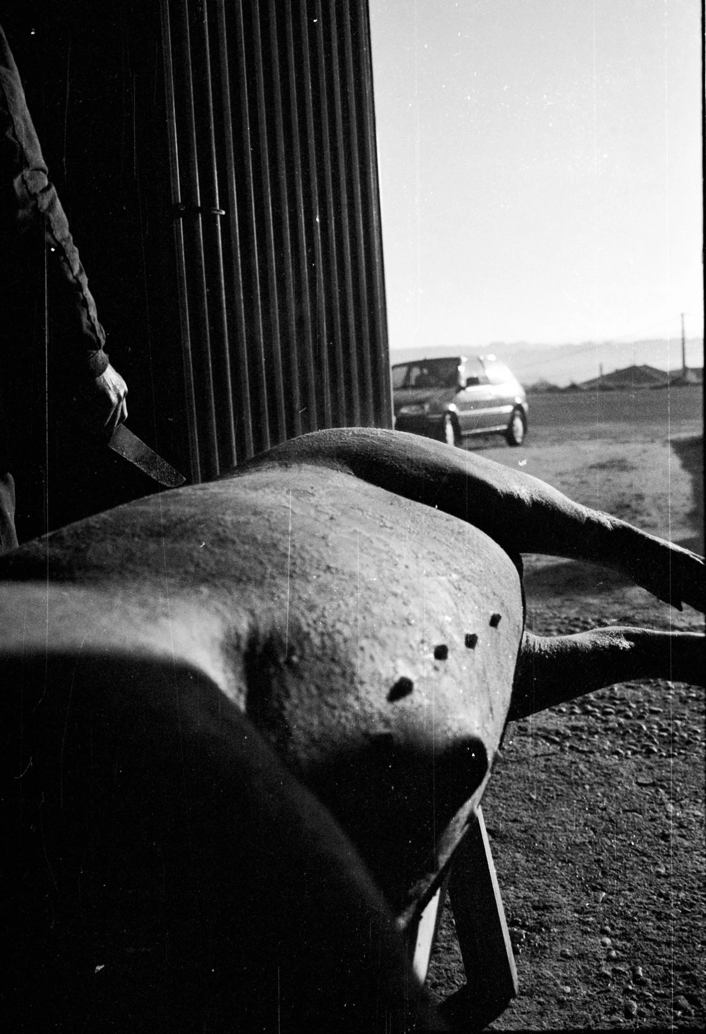 PERSONAL — fotografía 3