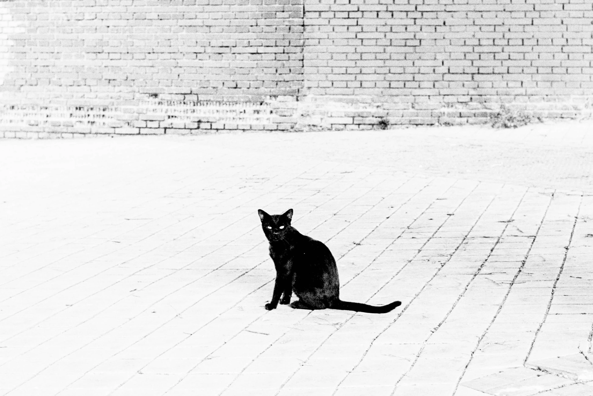 PERSONAL — fotografía 9